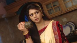 Chelleli Kaapuram S01E179 Bhoomi's Dangerous Act Full Episode