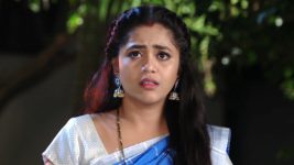 Chelleli Kaapuram S01E180 Manasa Has a Dream Full Episode