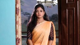 Chelleli Kaapuram S01E214 Pournami's Plan Misfires Full Episode