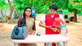 Chelleli Kaapuram S01E284 Aakash Surprises Bhoomi Full Episode