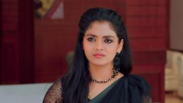 Chelleli Kaapuram S01E300 Pournami Creates a Scene Full Episode