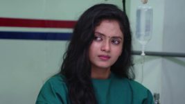 Chelleli Kaapuram S01E31 Pournami's Distressing Decision Full Episode