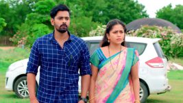 Chelleli Kaapuram S01E316 Sunil, Manasa Raise Questions Full Episode