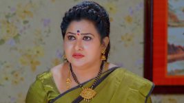 Chelleli Kaapuram S01E327 Rajyam Demands Answers Full Episode