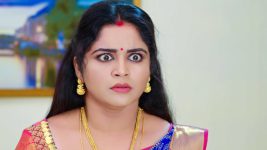 Chelleli Kaapuram S01E370 A Shock Awaits Bhoomi Full Episode