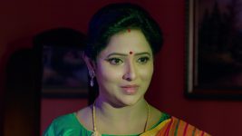 Chelleli Kaapuram S01E408 Vasundhara Is Hopeful Full Episode