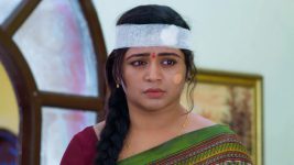 Chelleli Kaapuram S01E410 Bhoomi Is Heartbroken Full Episode