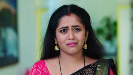 Chelleli Kaapuram S01E440 Manasa Gets Overwhelmed Full Episode