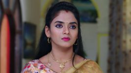 Chelleli Kaapuram S01E445 A Major Shock Awaits Pournami Full Episode