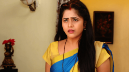 Chelleli Kaapuram S01E73 An Advice for Manasa Full Episode