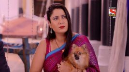 Chidiya Ghar S01E1268 Kesari Narayan Ki Duvidha Full Episode