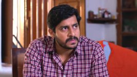 Chitti Talli S01E04 Raja Takes Chitti Home Full Episode