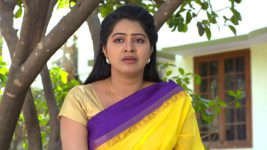 Chitti Talli S01E37 Shakuntala's Terrible Past Full Episode