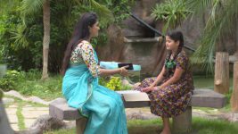 Chitti Talli S01E65 A Surprise Awaits Chitti Full Episode