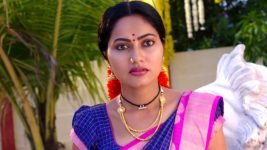 Devatha Anubandhala Alayam S01E42 Rukmini in Danger? Full Episode