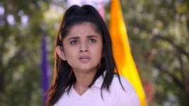 Guddan Tumse Na Ho Paayega S01E361 19th December 2019 Full Episode