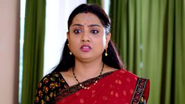 Guppedantha Manasu S01E195 Dharani Fears the Worst Full Episode