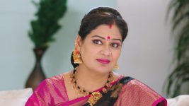 Guppedantha Manasu S01E454 Devayani, Sakshi Team Up Full Episode