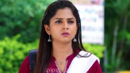 Guppedantha Manasu S01E490 Vasudhara Is Disappointed Full Episode