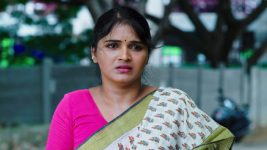 Karthika Deepam S01E1166 Priyamani Makes a Plea Full Episode