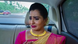 Karthika Deepam S01E1204 Soundarya's Emotional Outburst Full Episode