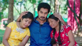 Karthika Deepam S01E1222 Karthik's Humble Plea Full Episode