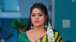 Karthika Deepam S01E1316 Will Hima Find Sourya? Full Episode