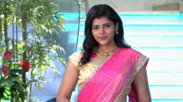 Karthika Deepam S01E138 Shravya's Plan for Karthik Full Episode