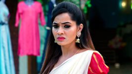 Karthika Deepam S01E1462 Mounitha in Distress Full Episode