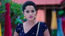 Karthika Deepam S01E1487 Mounitha in Distress Full Episode