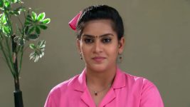 Karthika Deepam S01E319 Tulasi Implements the Plan Full Episode