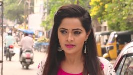 Karthika Deepam S01E334 Mounitha Chases Tulasi Full Episode