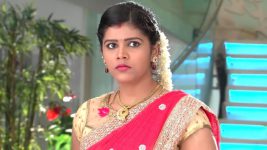 Karthika Deepam S01E335 Shravya Ignites a Doubt Full Episode