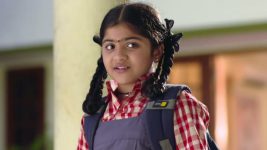 Karthika Deepam S01E423 Karthik to Meet Sourya's Mother? Full Episode