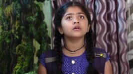 Karthika Deepam S01E425 Sourya Visits Soundarya's House Full Episode