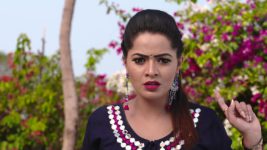 Karthika Deepam S01E431 Mounitha Fears the Worst Full Episode