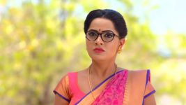 Karthika Deepam S01E454 A Shock for Mounitha Full Episode