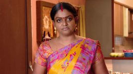 Karthika Deepam S01E488 Vihari Makes a Request to Deepa Full Episode