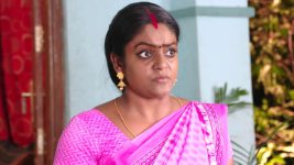 Karthika Deepam S01E493 Deepa Reveals the Truth Full Episode