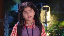 Karthika Deepam S01E687 Sourya Confronts Karthik Full Episode