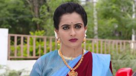 Karthika Deepam S01E795 Soundarya Warns Mounitha Full Episode