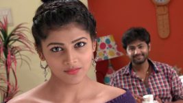 Karthika Deepam S01E83 Shravya Fakes Her Concern Full Episode