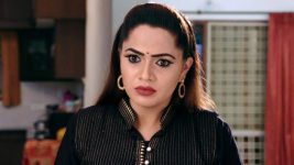 Karthika Deepam S01E869 Mounitha Gets Suspicious Full Episode