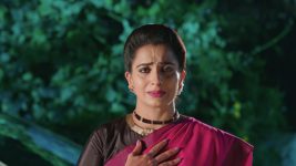 Karthika Deepam S01E981 Soundarya Is Shattered Full Episode