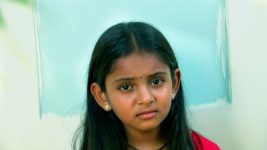 Koilamma S01E20 Chinni is Helpless! Full Episode