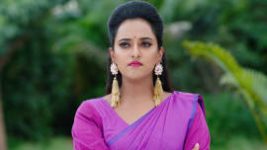 Krishna Tulasi S01E200 12th October 2021 Full Episode