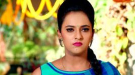 Krishna Tulasi S01E291 27th January 2022 Full Episode