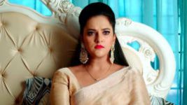 Krishna Tulasi S01E296 2nd February 2022 Full Episode