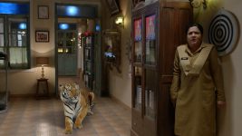 Maddam Sir S01E188 Tiger In The Station Full Episode