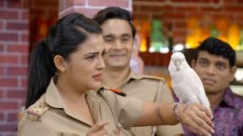 Maddam Sir S01E425 Naya Tota Paal Liya Full Episode